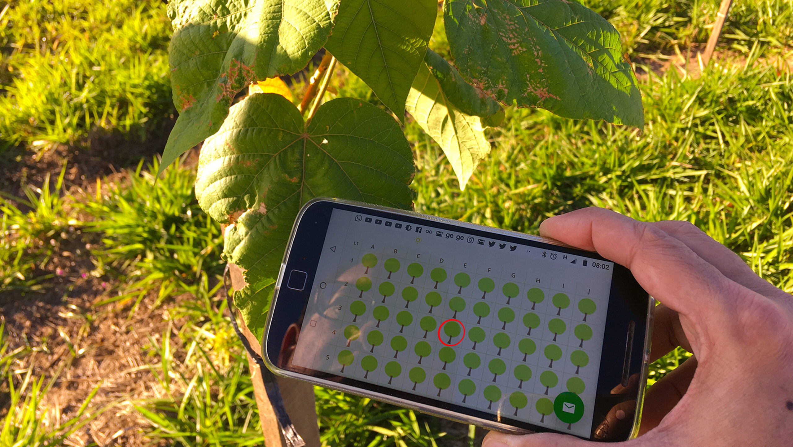 Auditoria on-line Ecooar